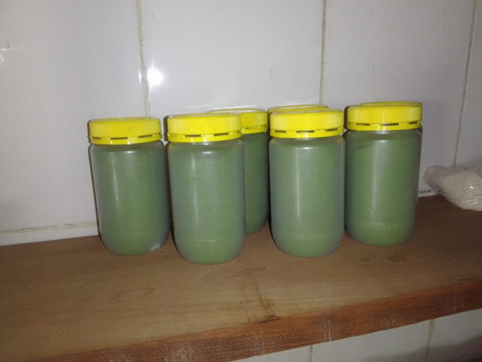 Pó de Folhas de Moringa